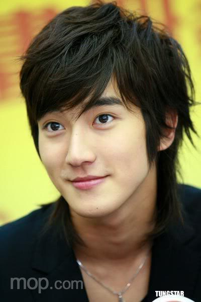 Choi Siwon Sooyoung's Brother